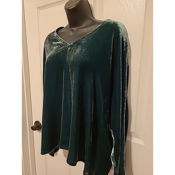 Eileen Fisher Velvet Silk Dolman Sleeve Top Pine Green V-Neck Size L NWT $278 - Picture 2 of 6
